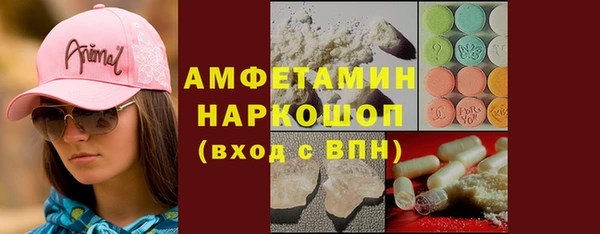 амф Вяземский