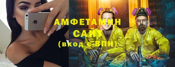 амф Вяземский