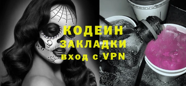 амф Вяземский