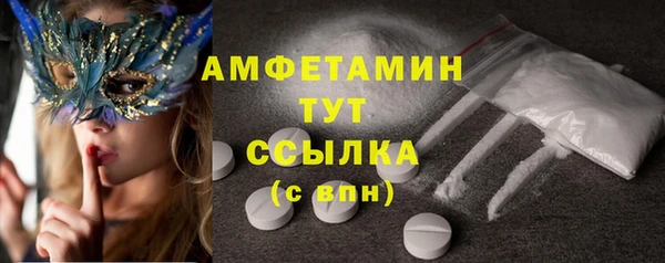 дживик Вязьма